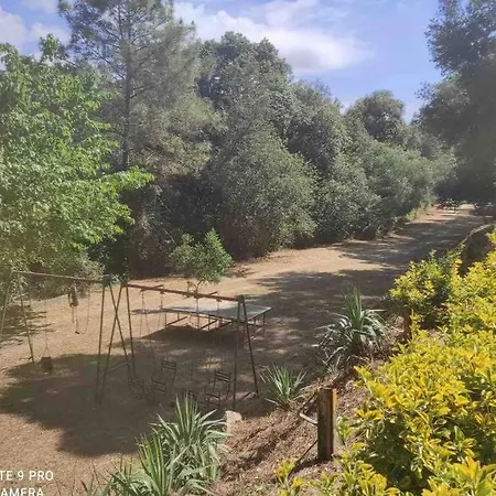 Belda Familiar Junto A Pinedas Mediterraneas Lejlighed