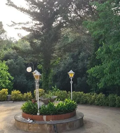 Belda Familiar Junto A Pinedas Mediterraneas Lejlighed *